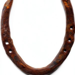 IS4A Genuine Rustic Horseshoe Equestrian Luck Charm-0