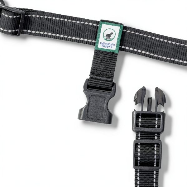 Caldwells Running Leash Hands Free Bungee Large Dogs-6