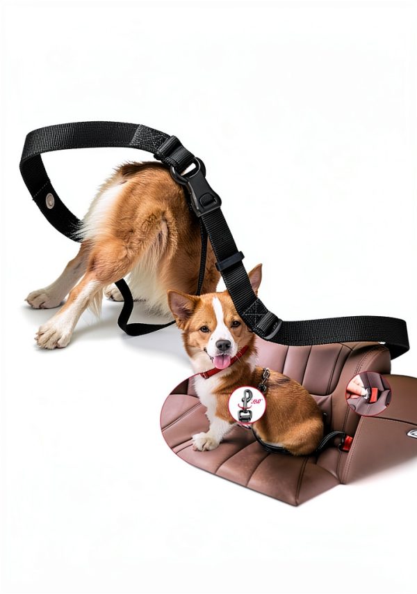 WANFIRE Hands Free Dog Leash Adjustable Reflective Waist-2
