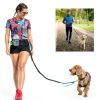 Hands Free Dog Leash THE INFINITE STOCKROOM Adjustable Waist-6