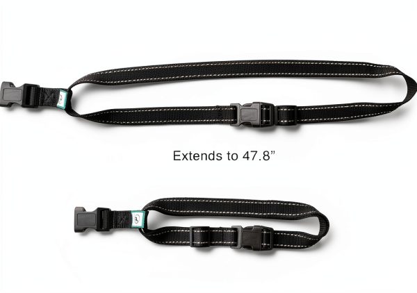 Caldwells Running Leash Hands Free Bungee Large Dogs-2