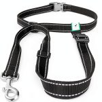 Caldwells Running Leash Hands Free Bungee Large Dogs-0