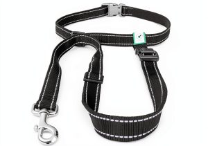 Caldwells Running Leash Hands Free Bungee Large Dogs-0