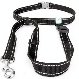 Caldwells Running Leash Hands Free Bungee Large Dogs-0