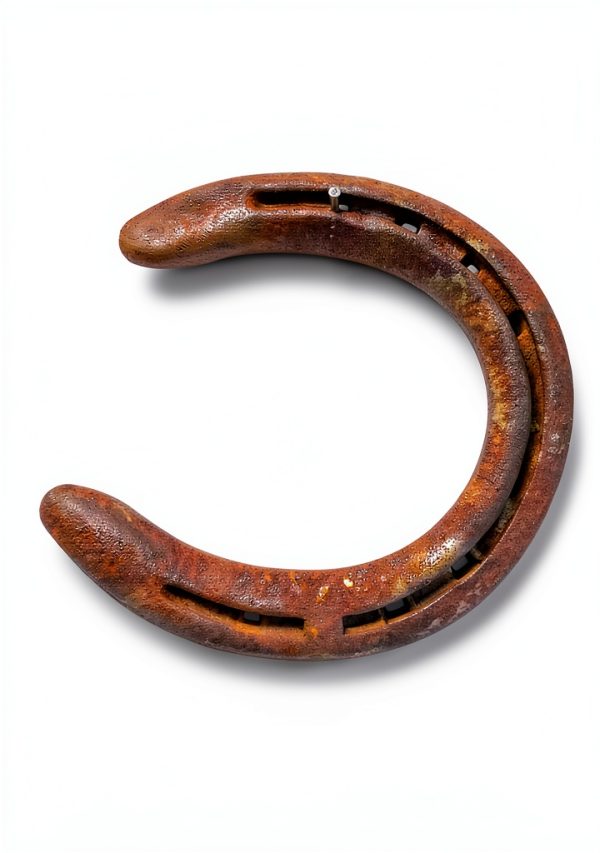 Pavo Equestrian Horseshoes Durable Steel Unisex Adult-5