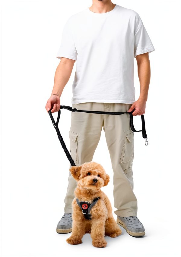 Pecute Hands Free Dog Leash Lightweight Waist Bag Reflective-7