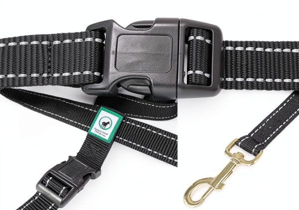 Caldwells Running Leash Hands Free Bungee Large Dogs-4