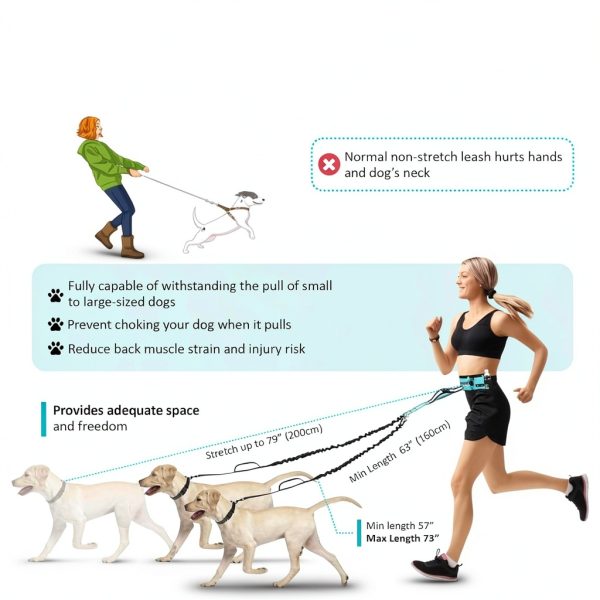 Bondesir Double Dog Leash Hands Free Waist Belt Two Dogs-4